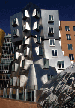 Home Page Image